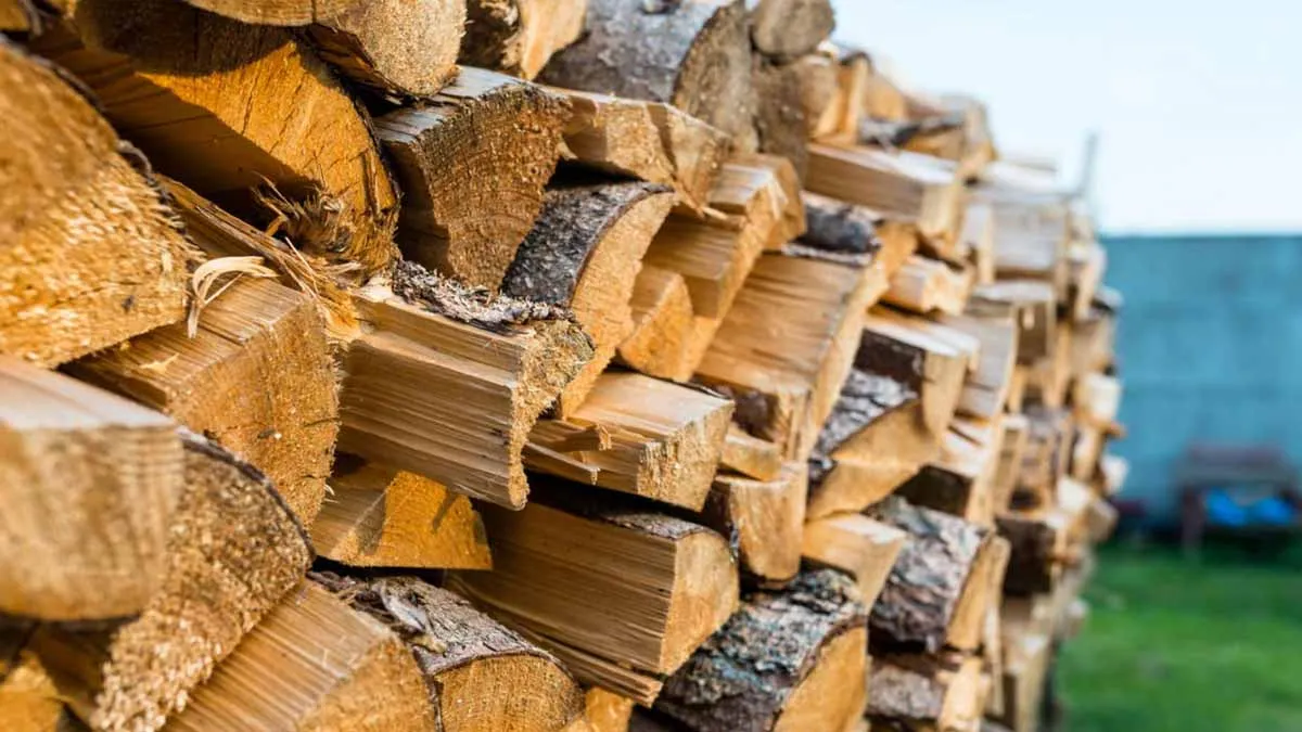 Effizient und nachhaltig heizen — wie man Holz richtig lagert