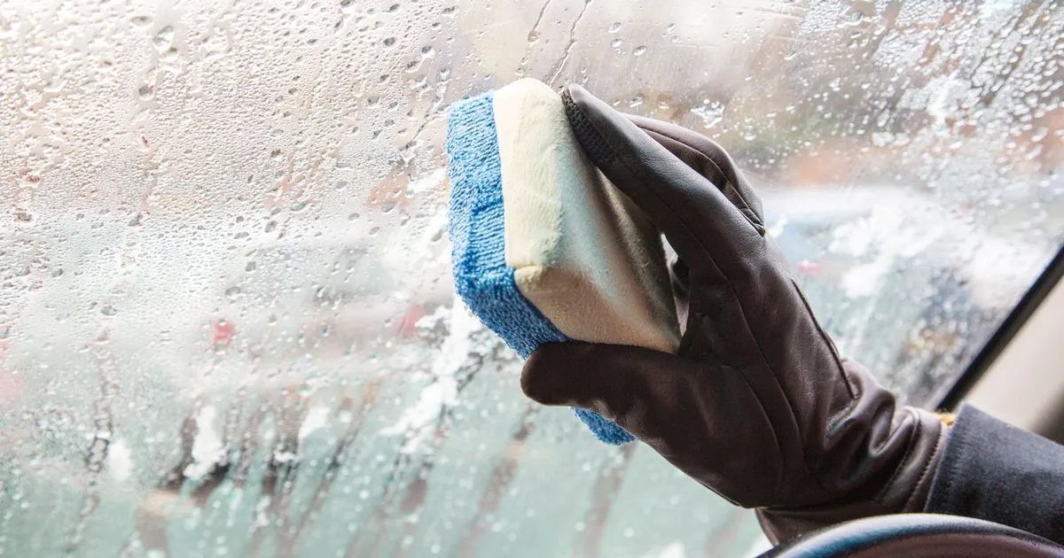 So bleibt die Windschutzscheibe trocken